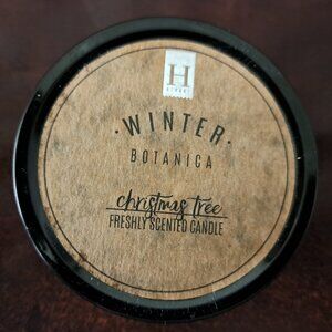 4 Qty Haven Street Candle Christmas Tree Winter Botanica HHB6409-TM